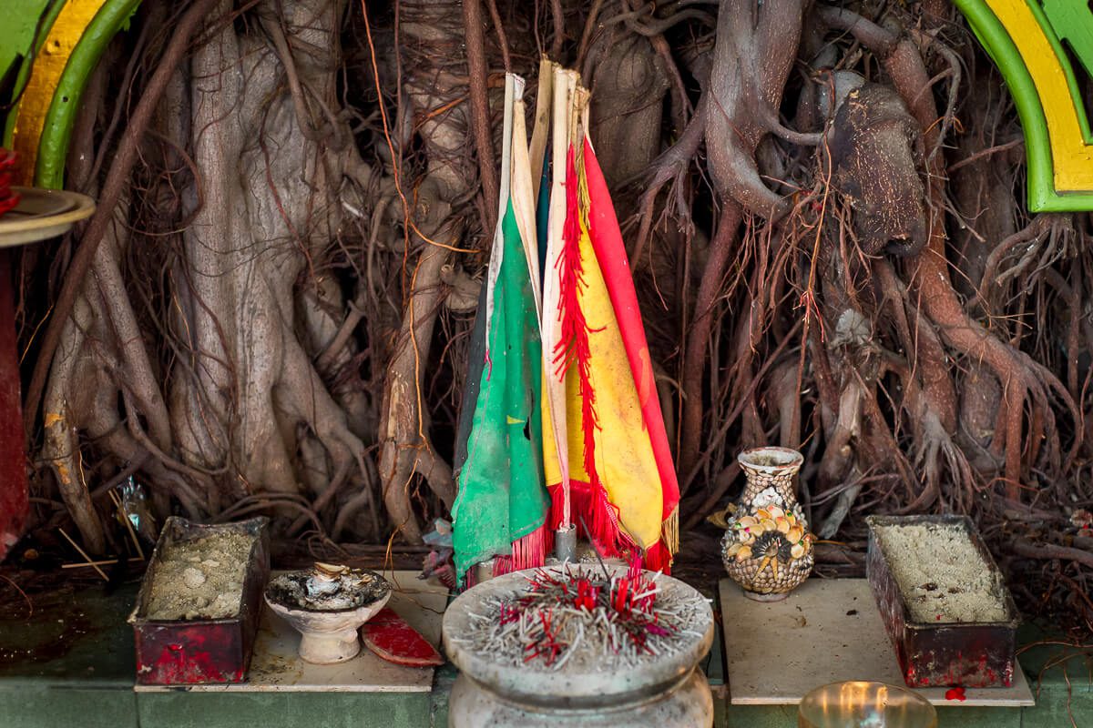 The Spirit in the Trees, Datuk Worship in South East India