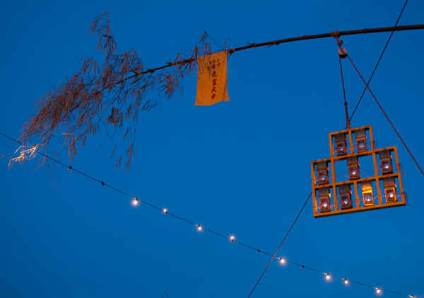 Objects hanging on a tree